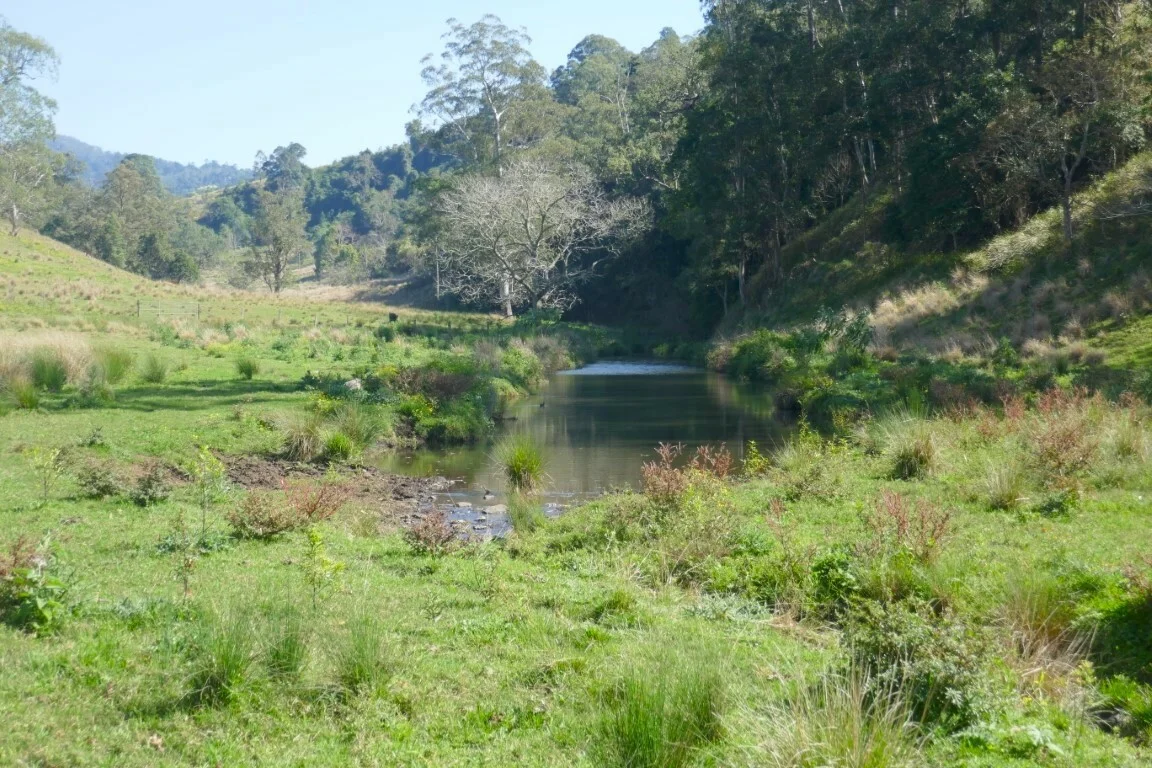 Image 11