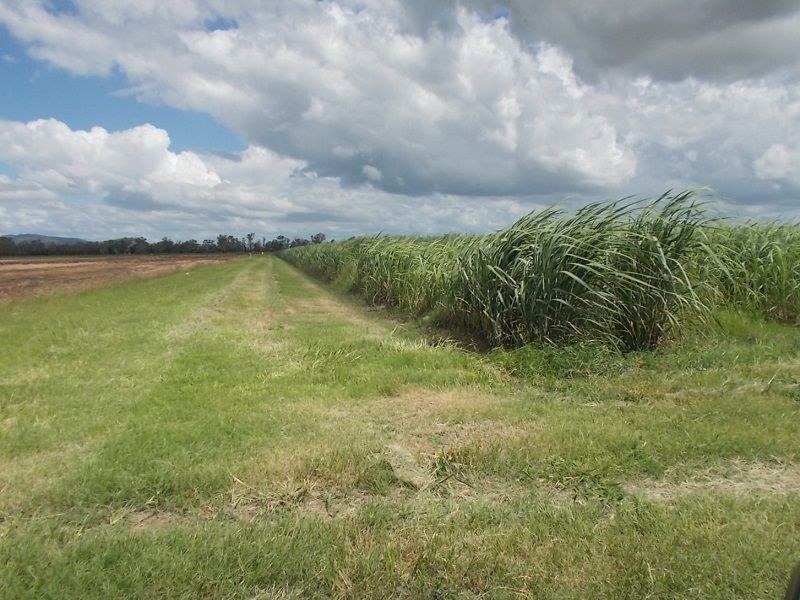 Clare QLD 4807, Image 2