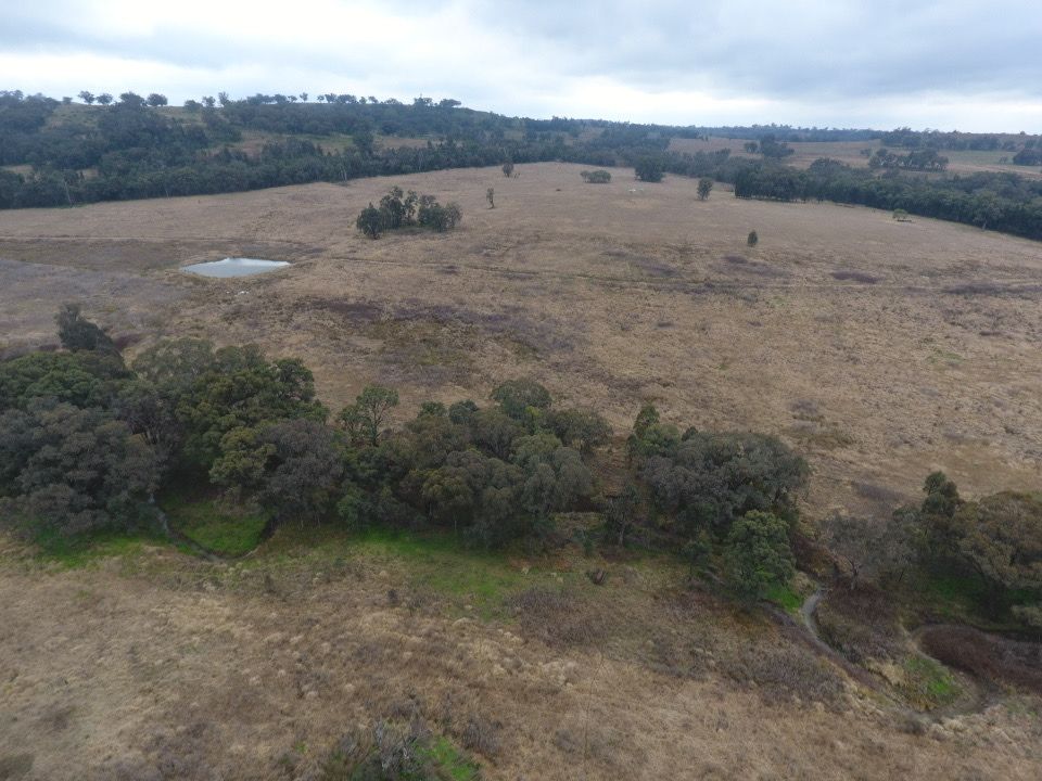 "The Junction" 8764 Newell Highway, Coonabarabran NSW 2357, Image 0