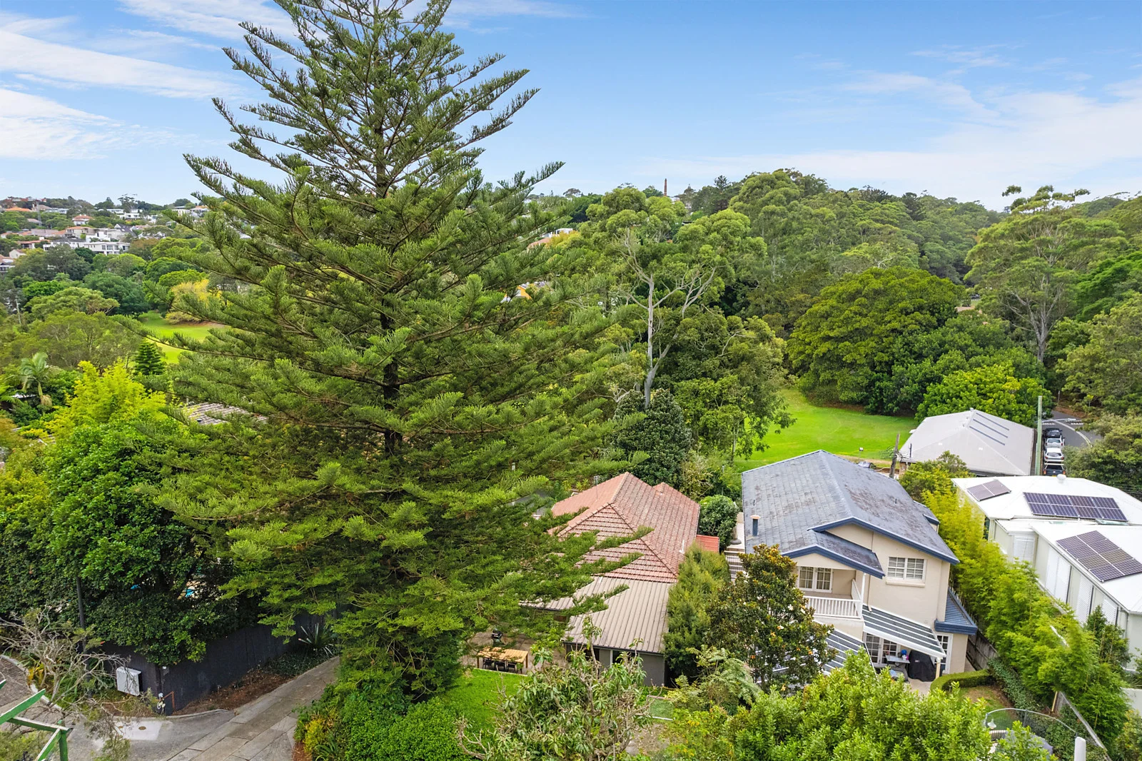 Additional image 16 of 115 Manning Road, Woollahra NSW 2025
