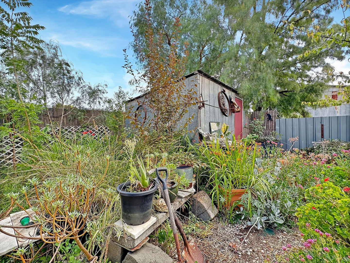 Image 11