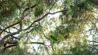 Picture of Lot 515 Kurrajong Parkway, WITCHCLIFFE WA 6286