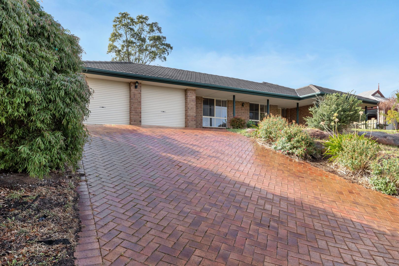 17 Shetland Street, Woodcroft SA 5162, Image 1