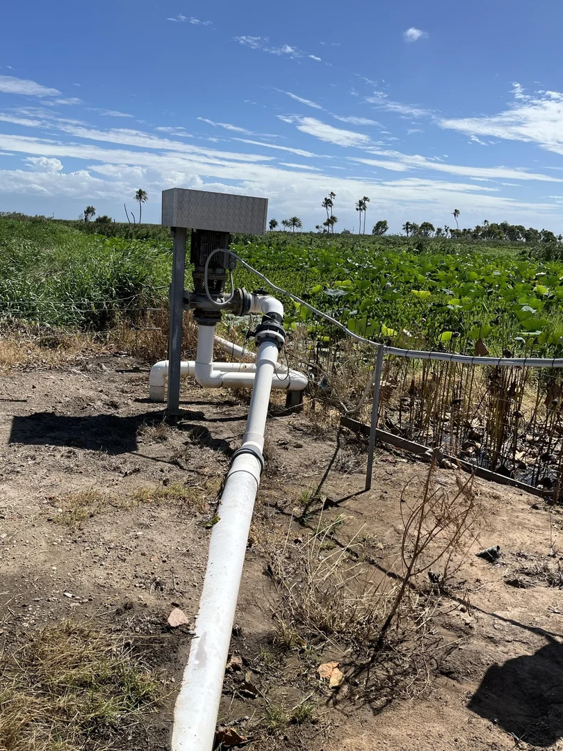 Additional image 7 of 449 Trent Road, Alva QLD 4807