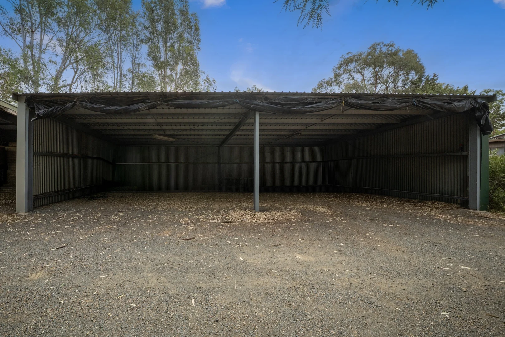 Image 19