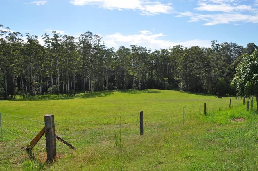 Lot 100 Grandis Glen, CONGARINNI NORTH NSW 2447, Image 1