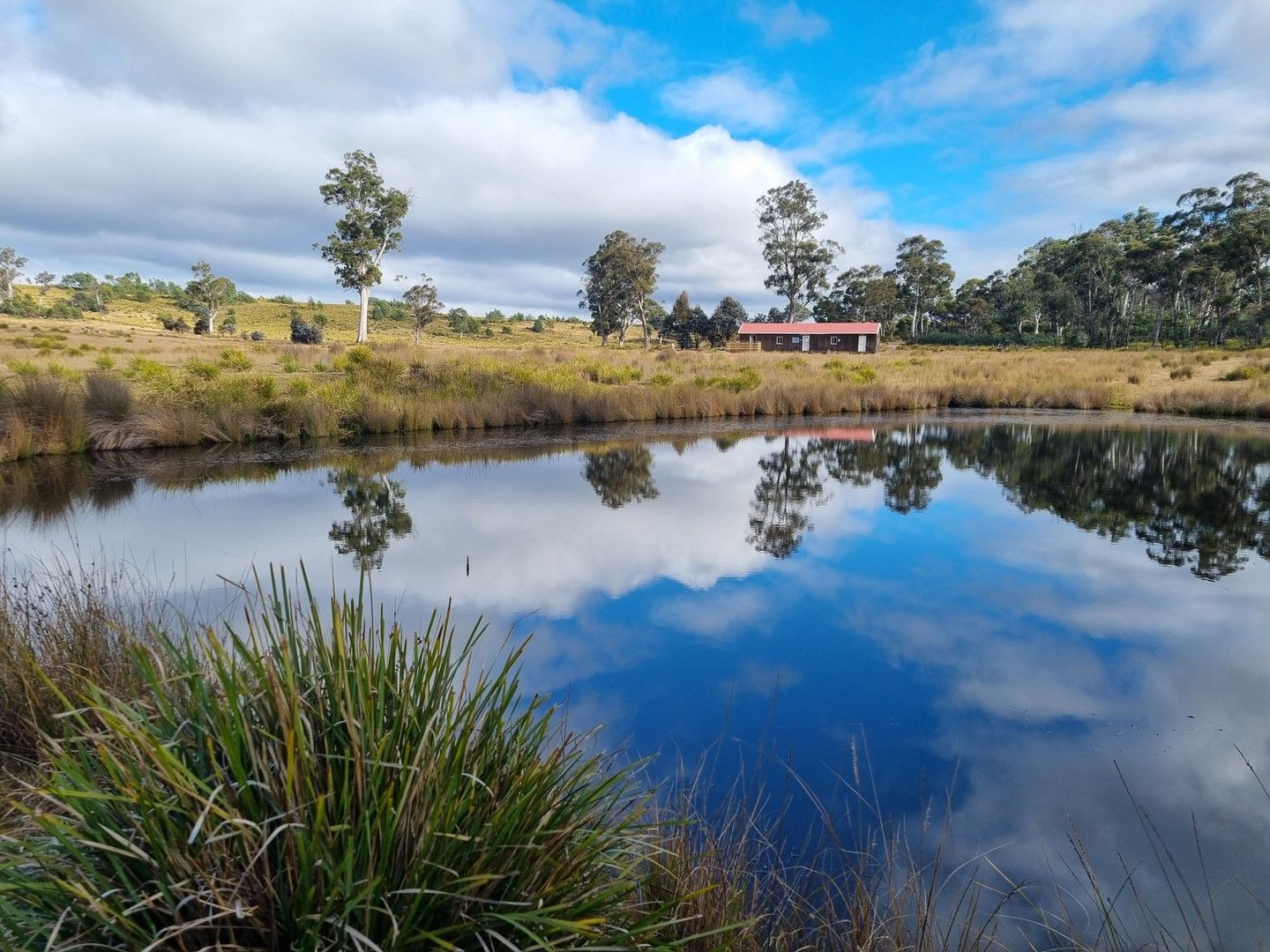 Lot 1, 2 & 3 Wellwood Road, Osterley TAS 7140, Image 0