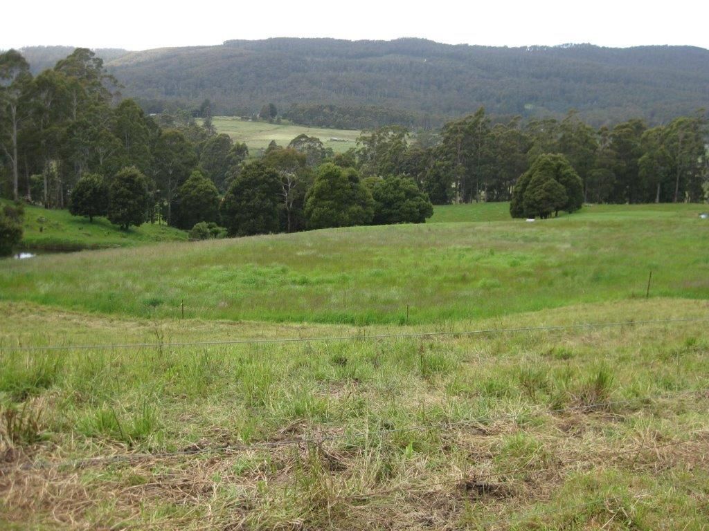 3 Stevenson Road, Lower Barrington TAS 7306 House for Sale Domain