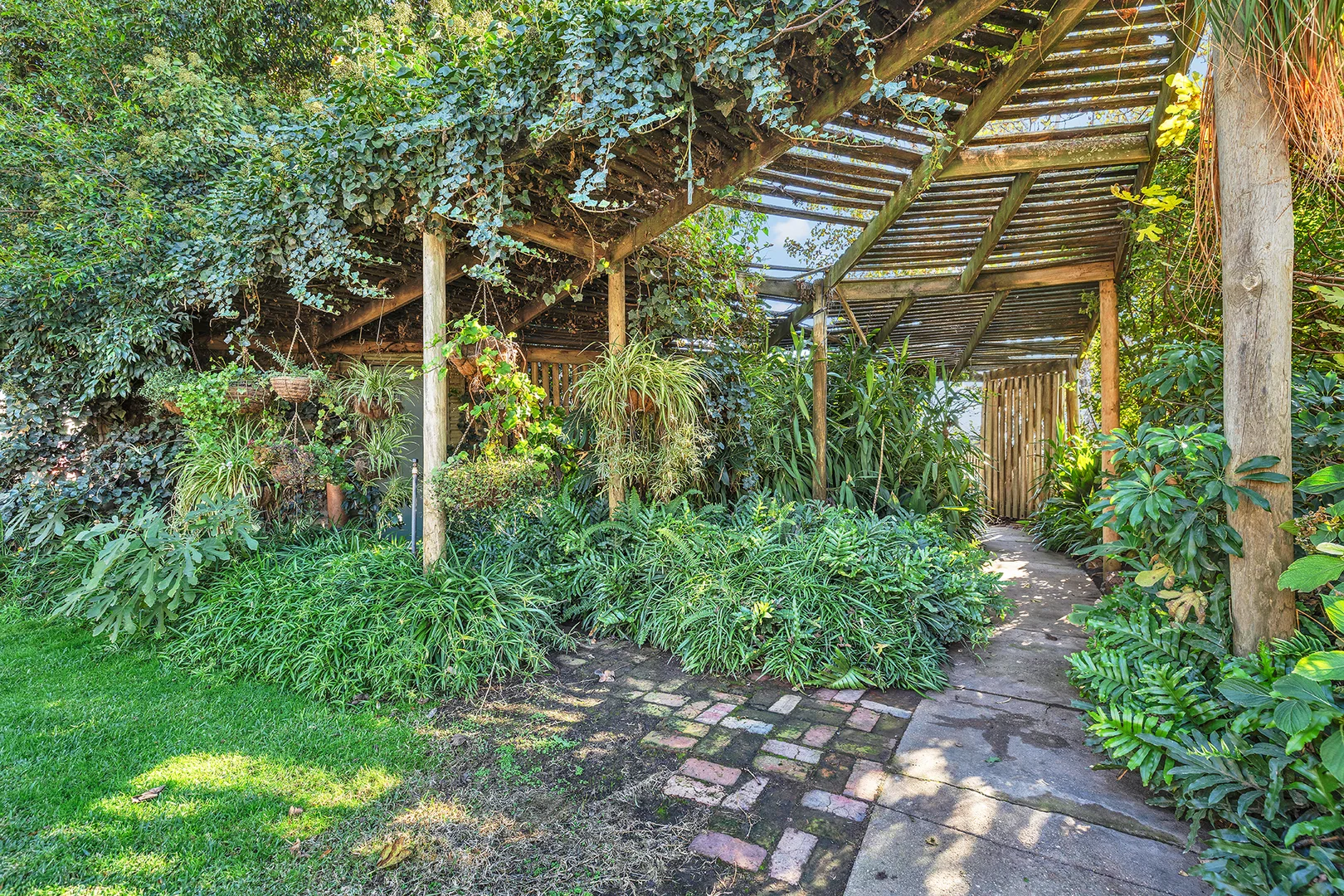 Image 35