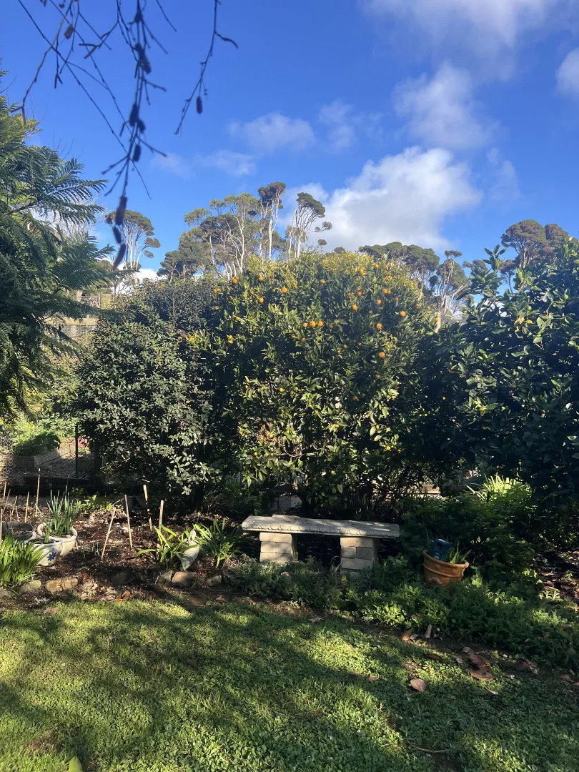 Image 36