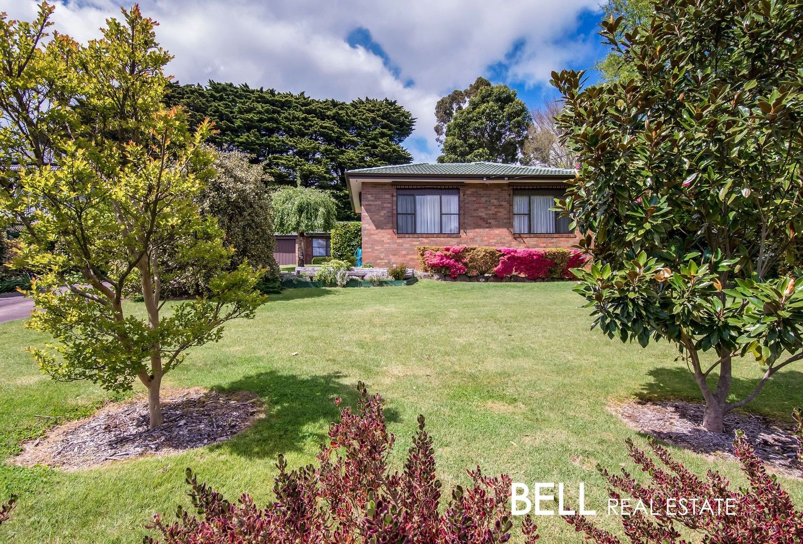 282 Mt Dandenong Tourist Road, Sassafras VIC 3787, Image 0