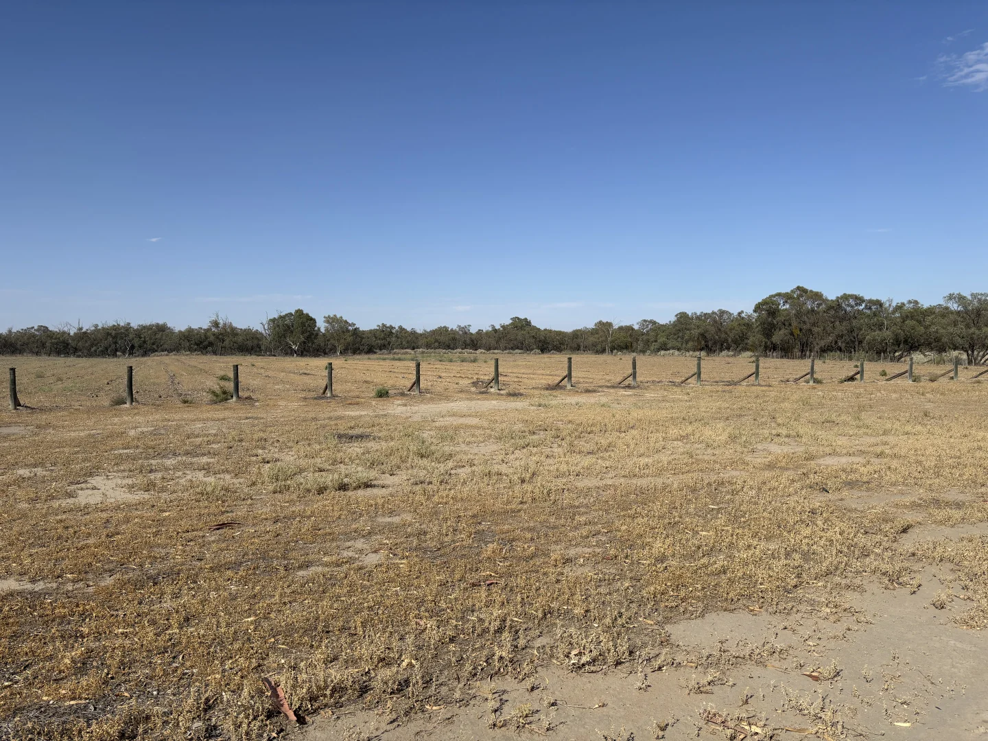 Additional image 13 of 119B Lagoon Road, Wentworth NSW 2648