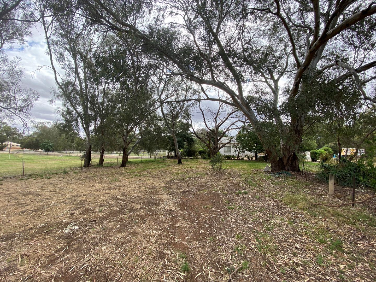 55 BOLTON STREET, Jerilderie NSW 2716, Image 1