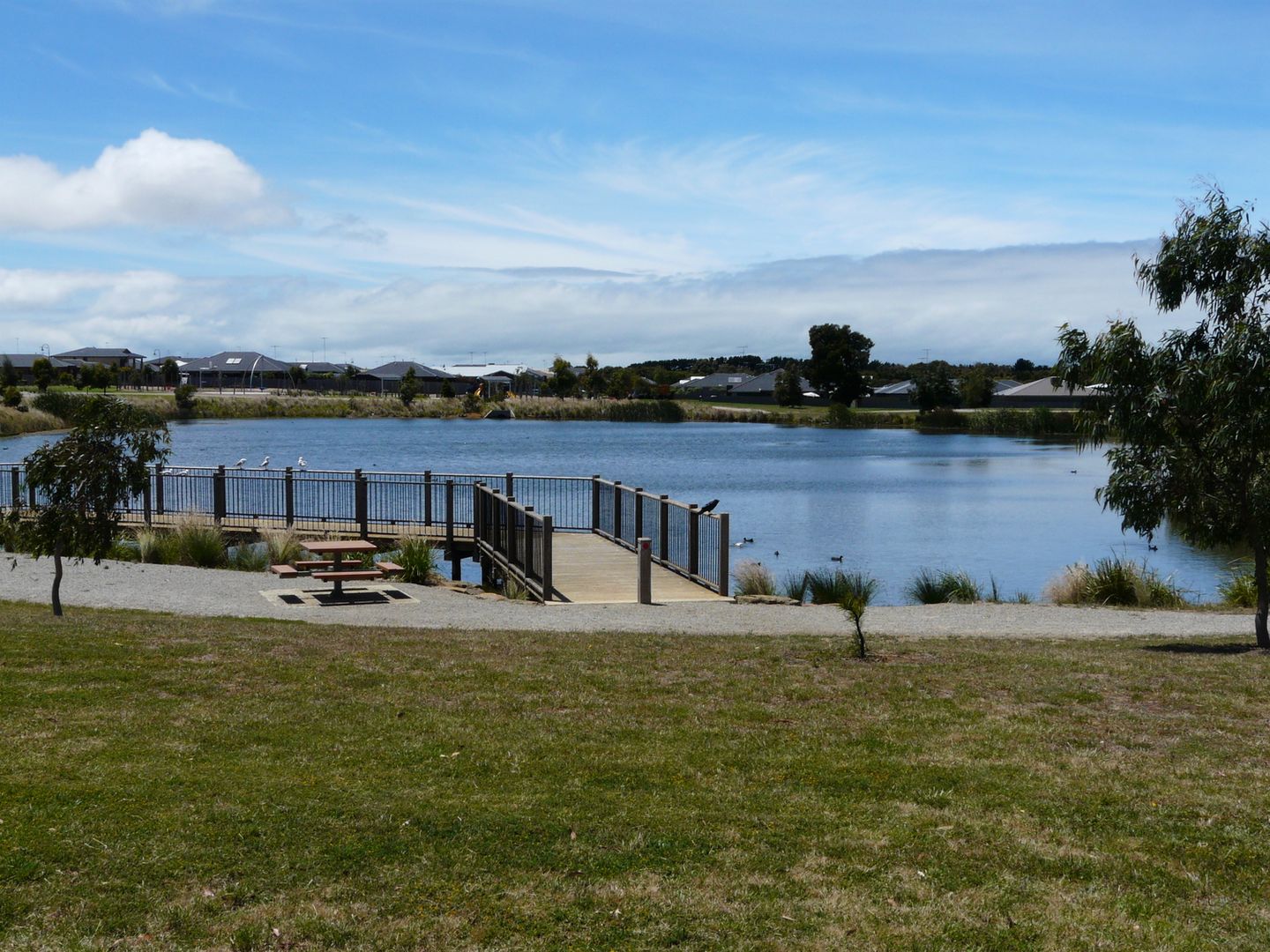 58 Evergreen Circuit, Ocean Grove VIC 3226, Image 1