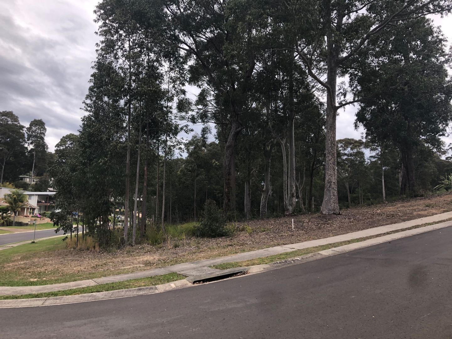 2 Bunderra Circuit, Lilli Pilli NSW 2536, Image 1