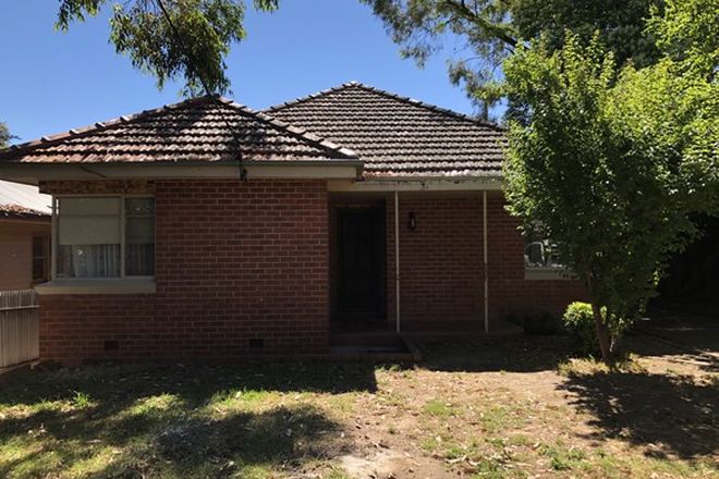 123 Rental Properties In Albury Nsw 2640 Domain