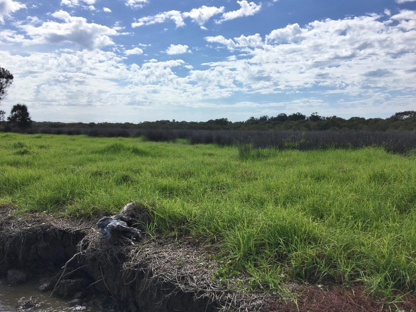 Lot 4 Shark Island, Fishermans Reach NSW 2441, Image 0