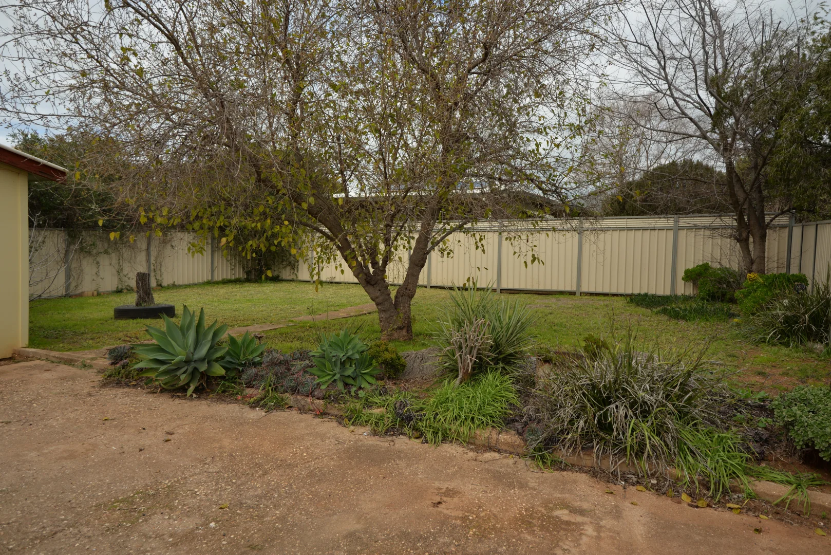 Image 19