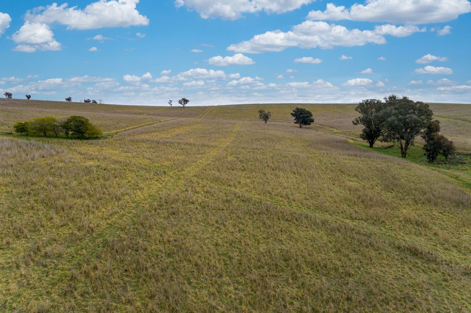 'Highview' Binni Creek Road, Woodstock NSW 2793, Image 2