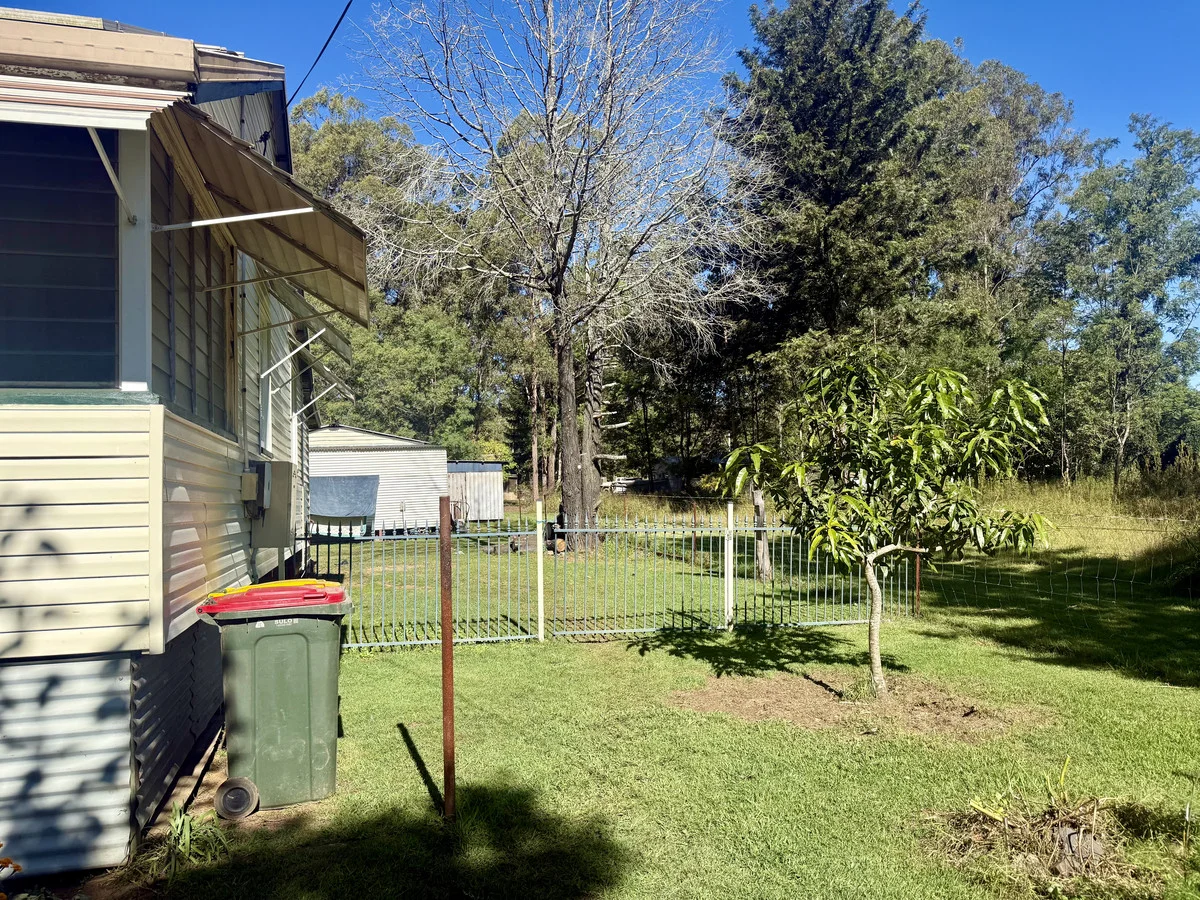 Image 11