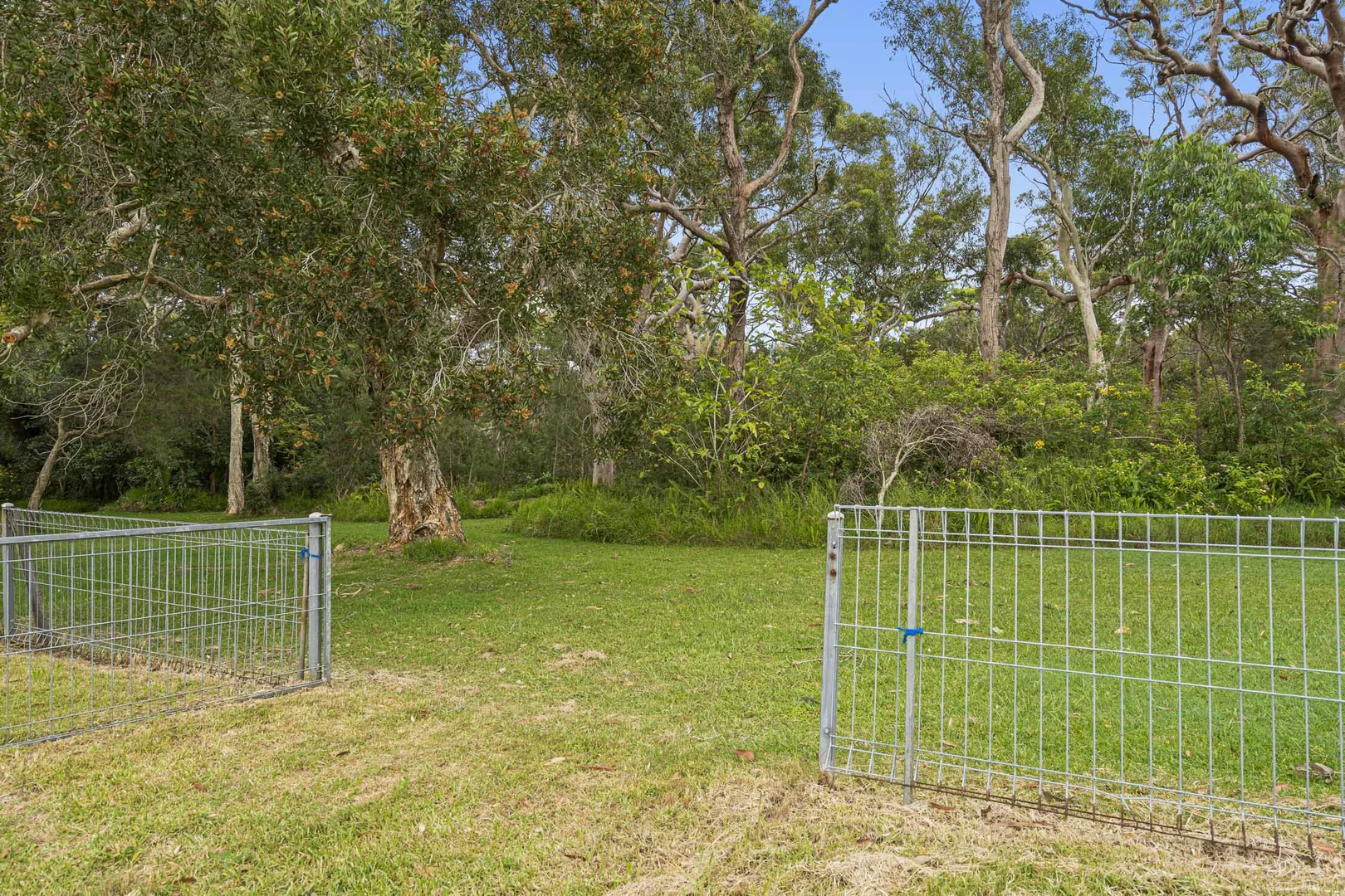Additional image 9 of 24 Harding Avenue, Lake Munmorah NSW 2259
