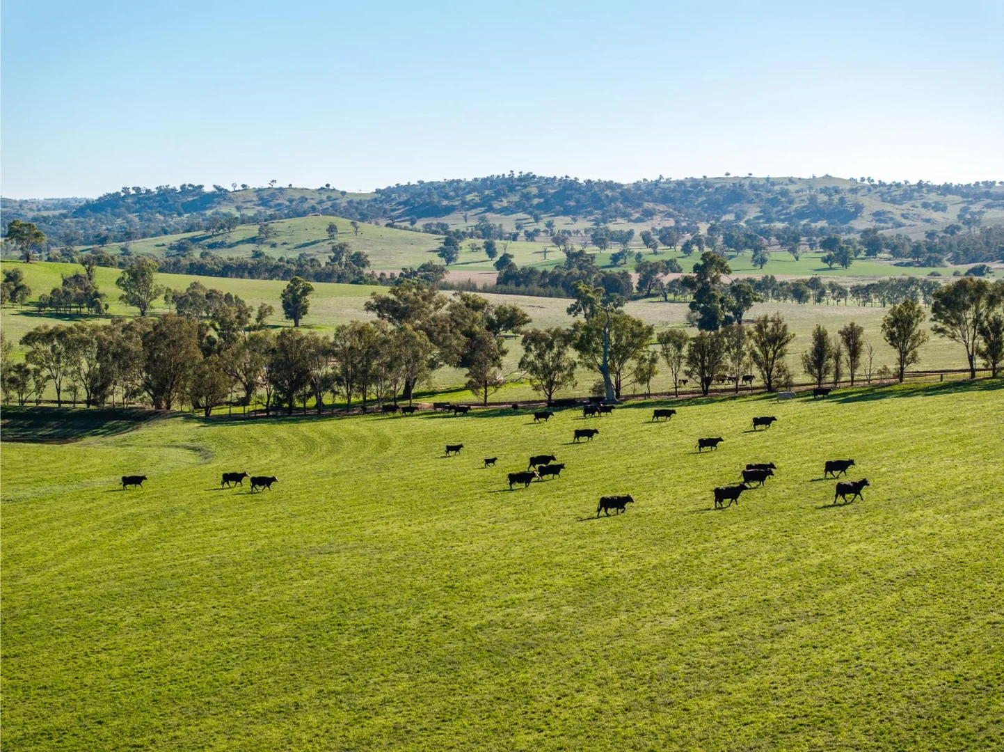 Additional image 20 of 478 Illawong Road, Jugiong NSW 2726