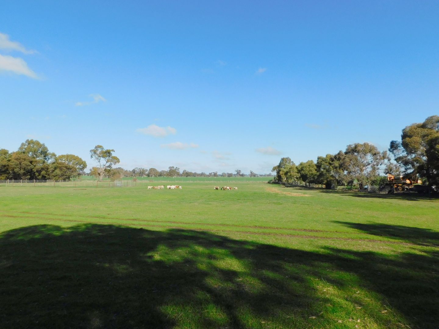 Lot 14 Oatmill Road, Bordertown SA 5268, Image 2