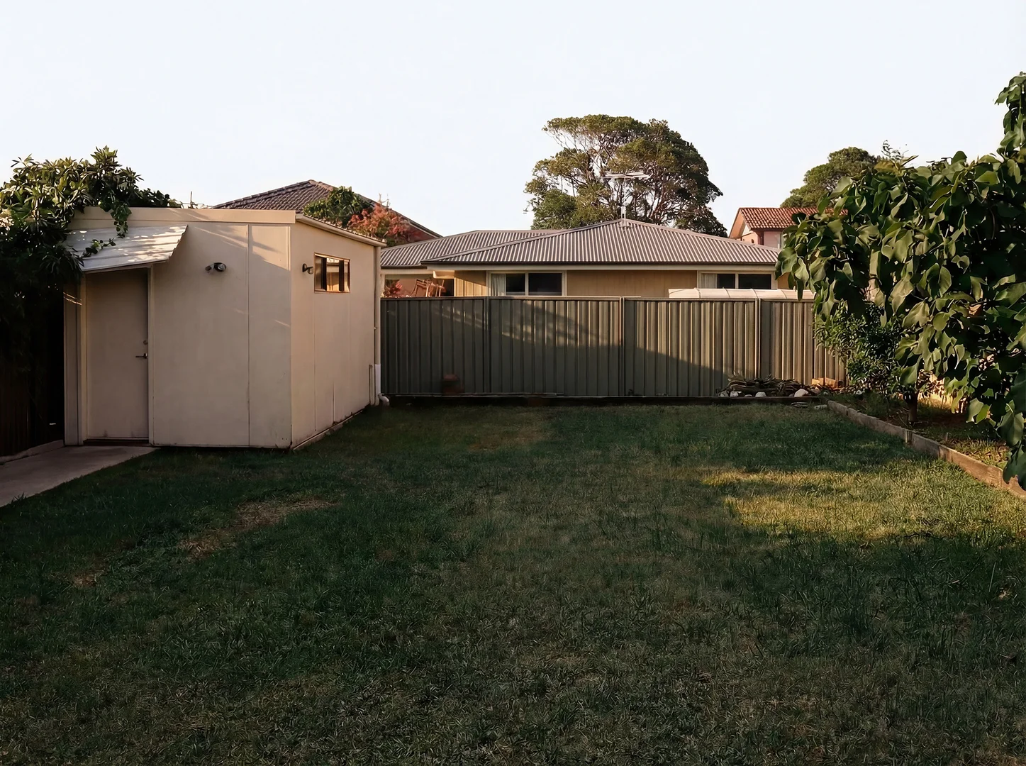Image 12
