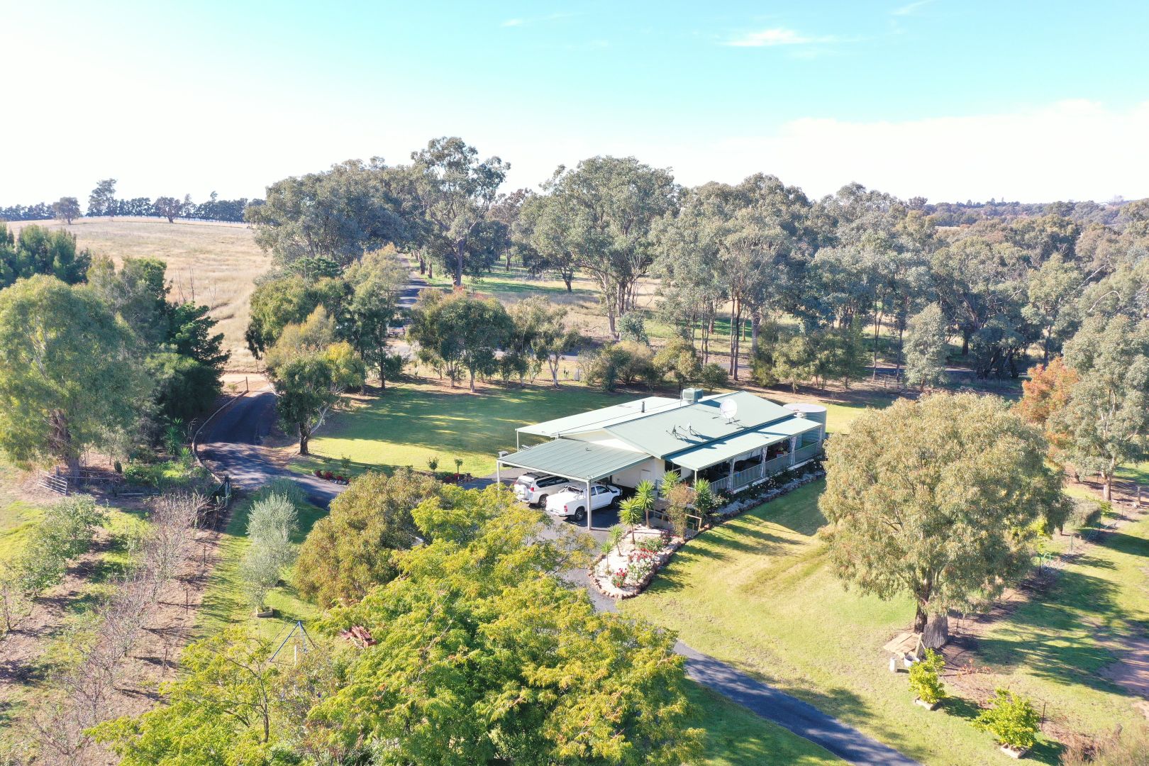 219 Pattersons Lane, Young NSW 2594, Image 2