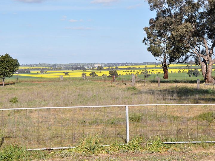 "HILLTOP" Goldfields Way, OLD JUNEE NSW 2652, Image 1