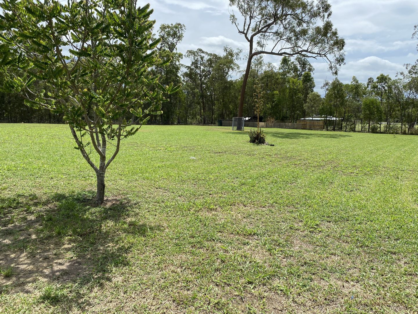 5 Grass Tree Court, Ellerbeck QLD 4816, Image 1
