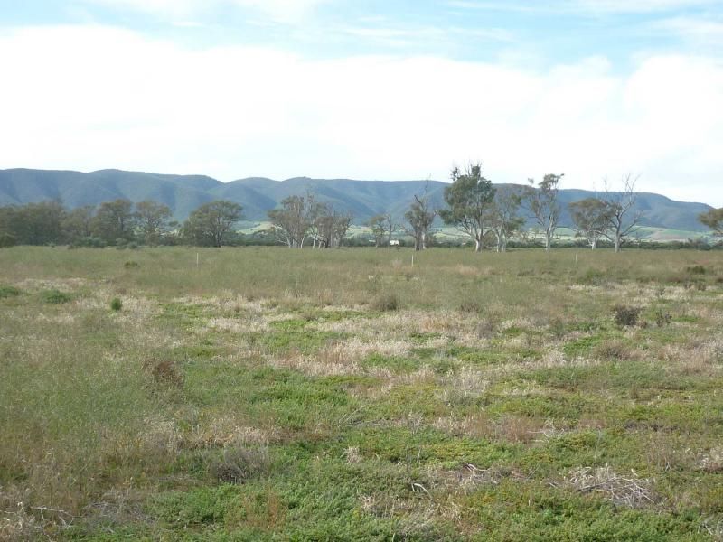 Lot 11 Gulf View Road, Napperby SA 5540, Image 1