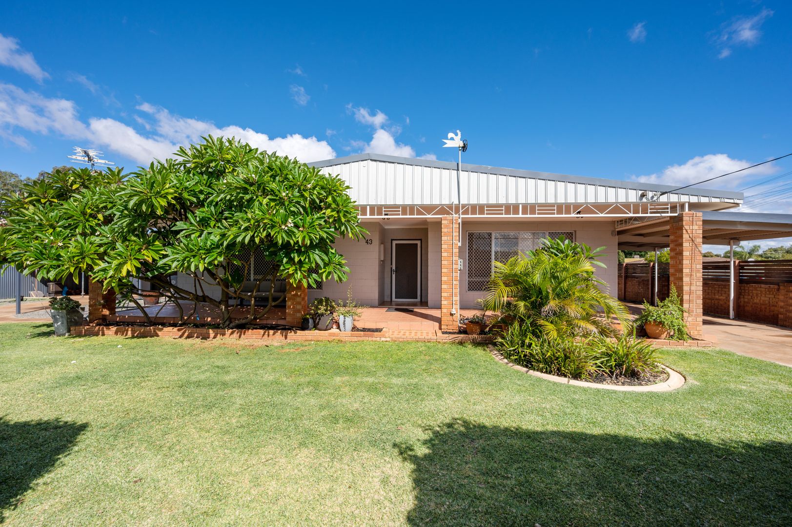 43 Hawkins St, West Lamington WA 6430, Image 1