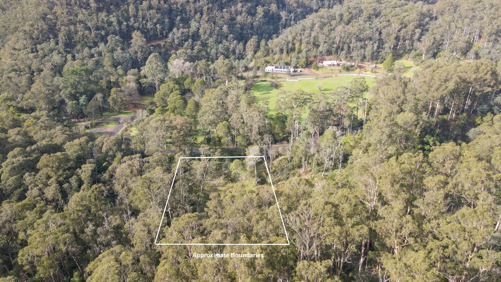 Image 13