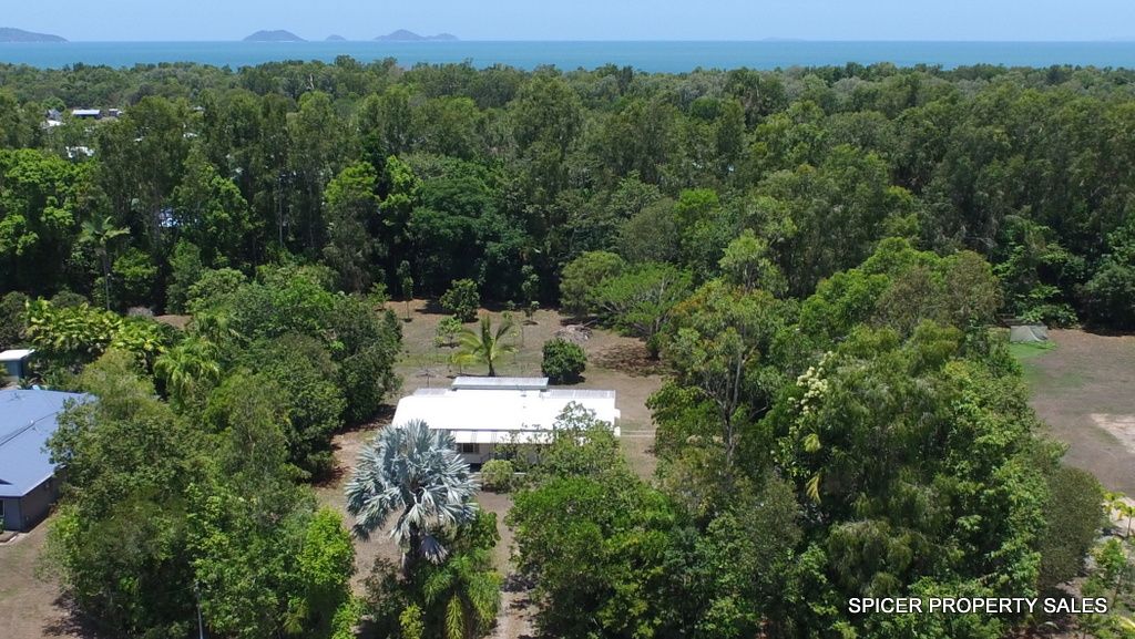 62 Paradise Palm Drive, Tully Heads QLD 4854 Domain