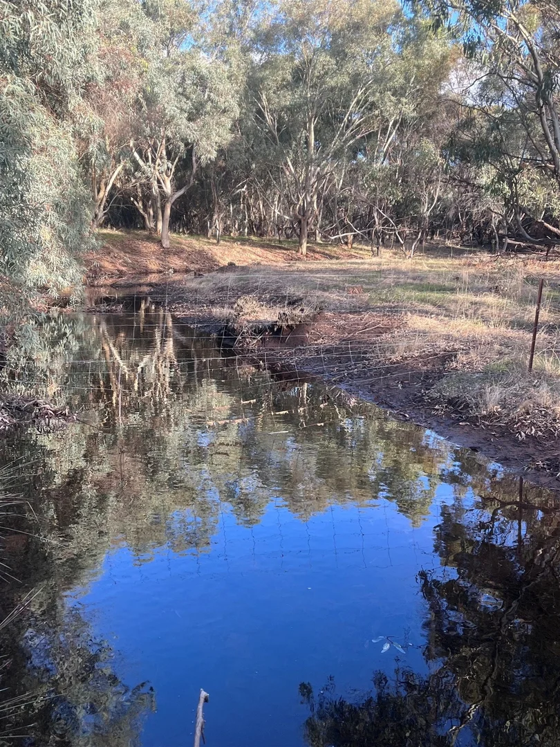 Image 10