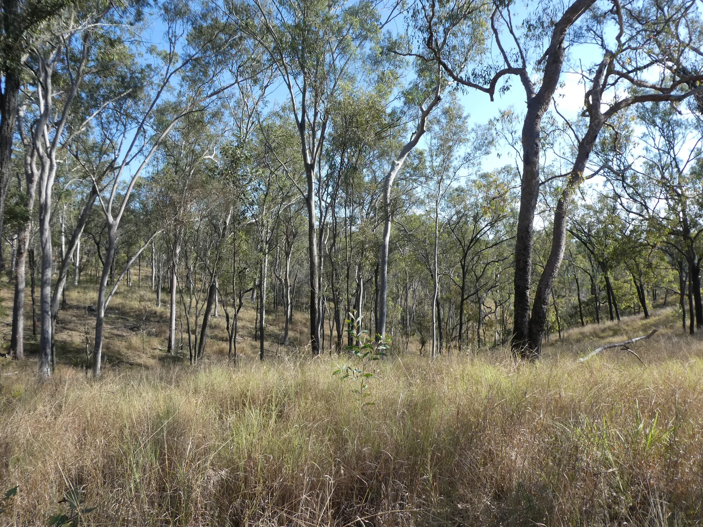 Image 10