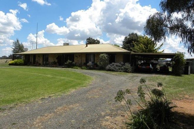 Picture of 1341 Belowra Road, MURRINGO NSW 2586