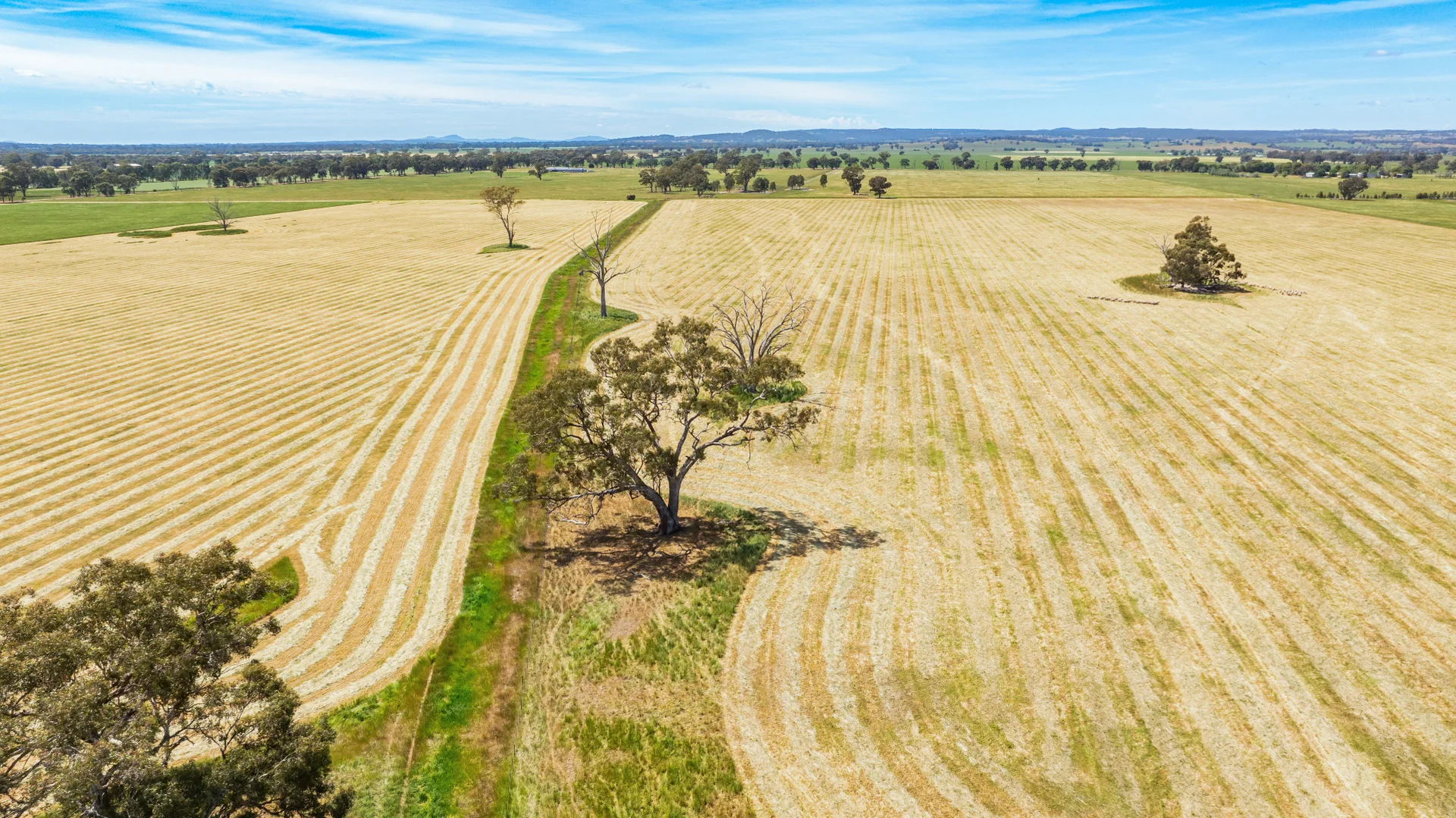 Additional image 15 of Lot 1 Boorhaman-Springhurst Road, Springhurst VIC 3682