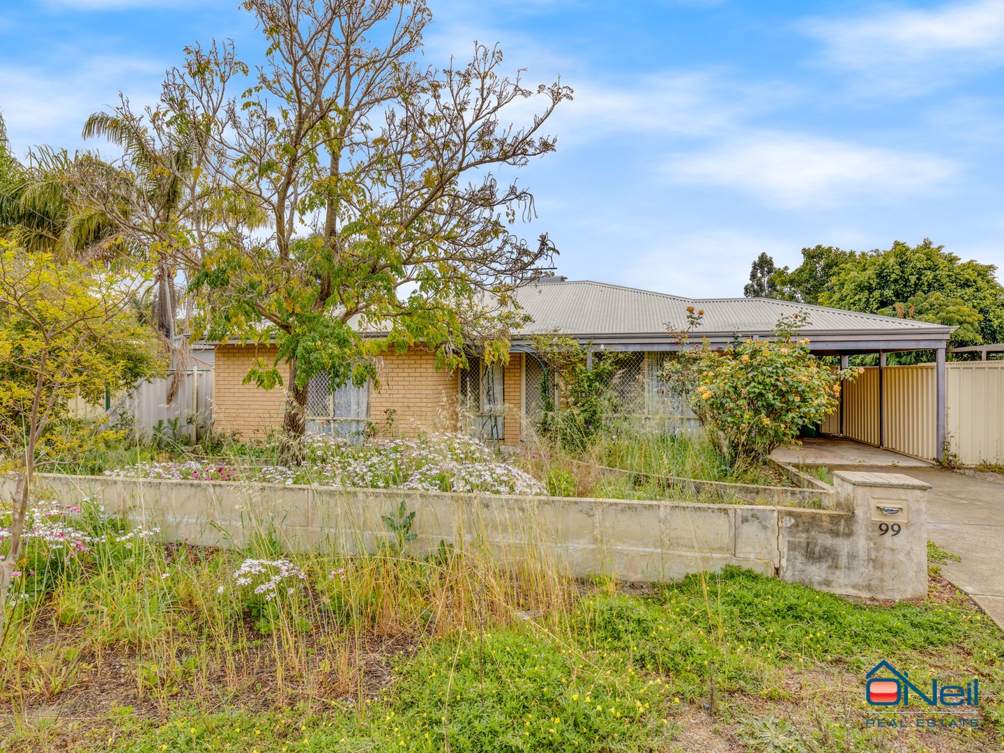 99 Braemore Street, Seville Grove WA 6112, Image 1