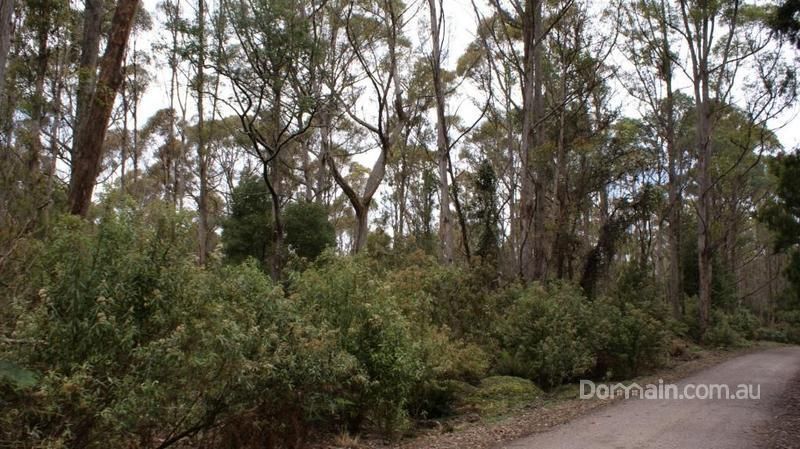 0 Brady's Plains Road, PARKHAM TAS 7304, Image 0