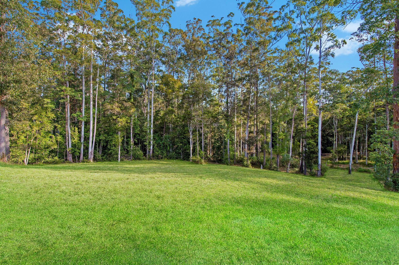 14 Harriet Place, King Creek NSW 2446, Image 1