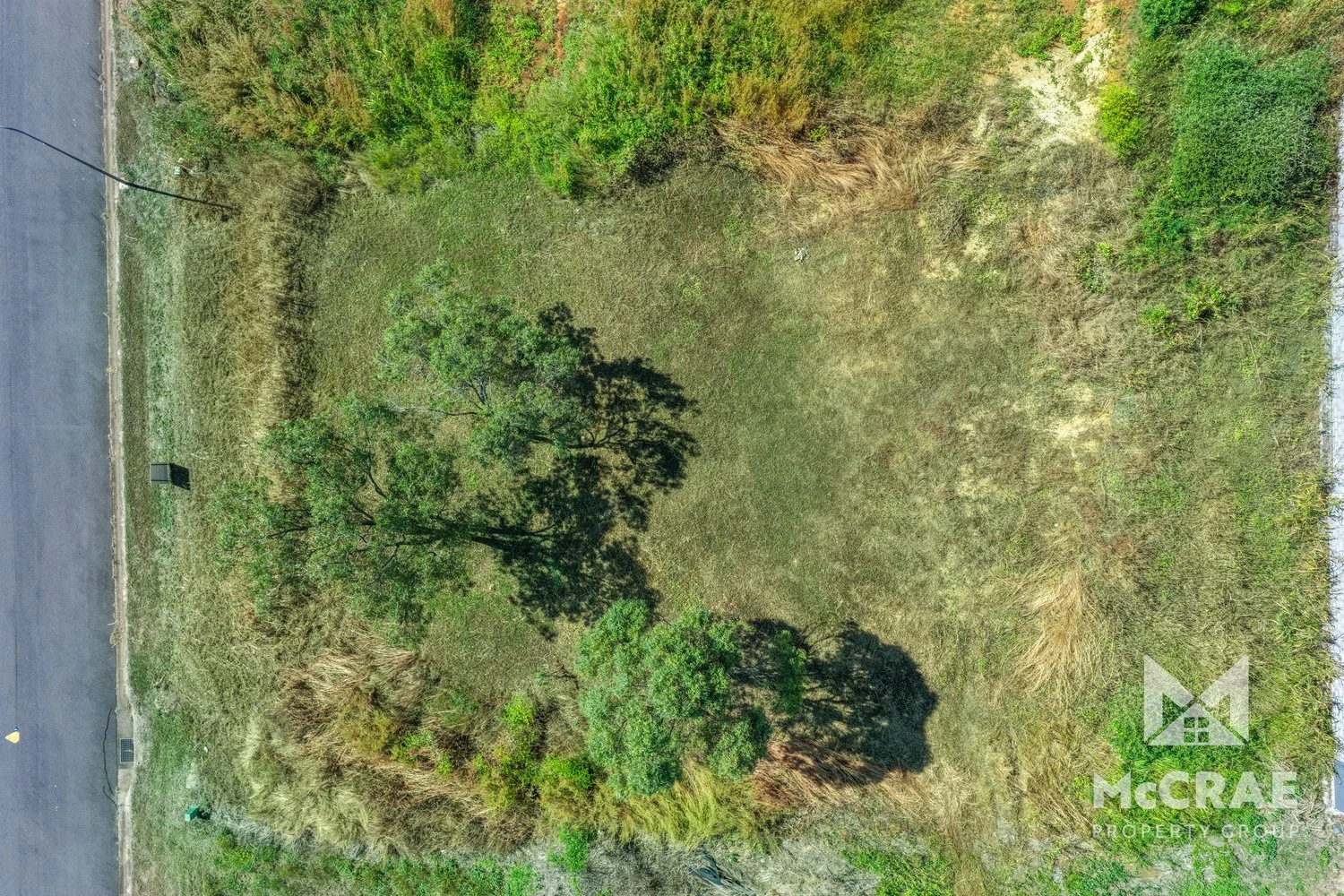 Image 15