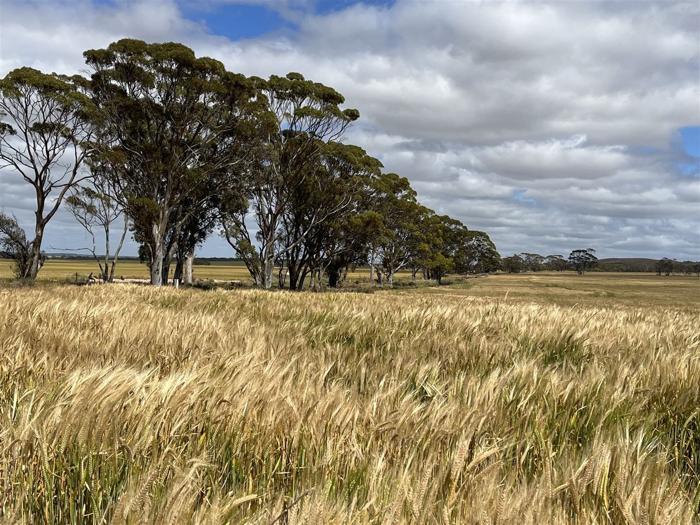 . 'Two Wells', Tammin WA 6409, Image 2