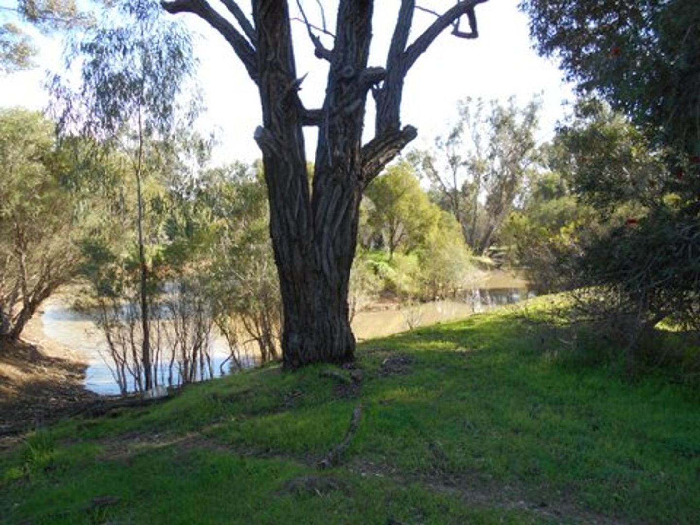1 bedrooms Rural in 7 Tannin Place BODDINGTON WA, 6390
