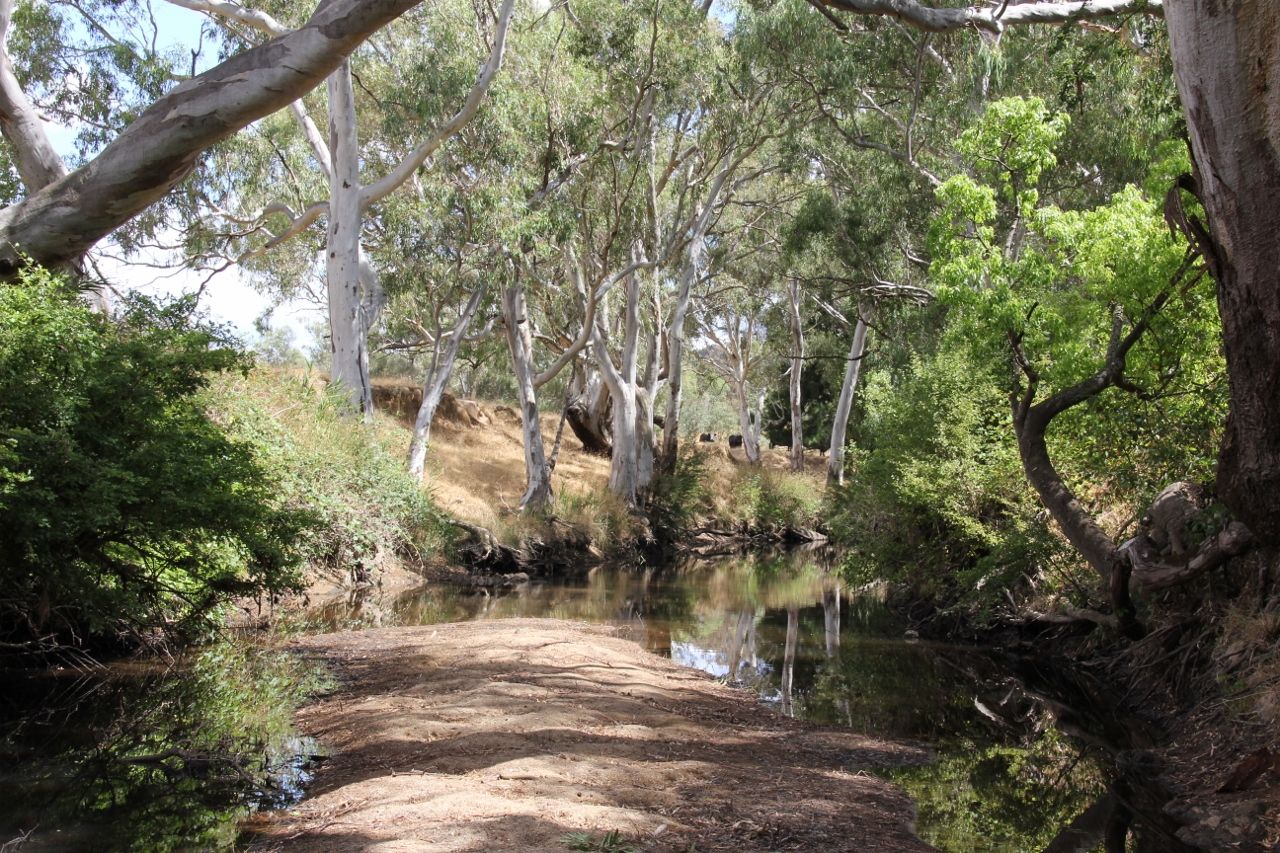 Conroy Street, Bookham NSW 2582, Image 1