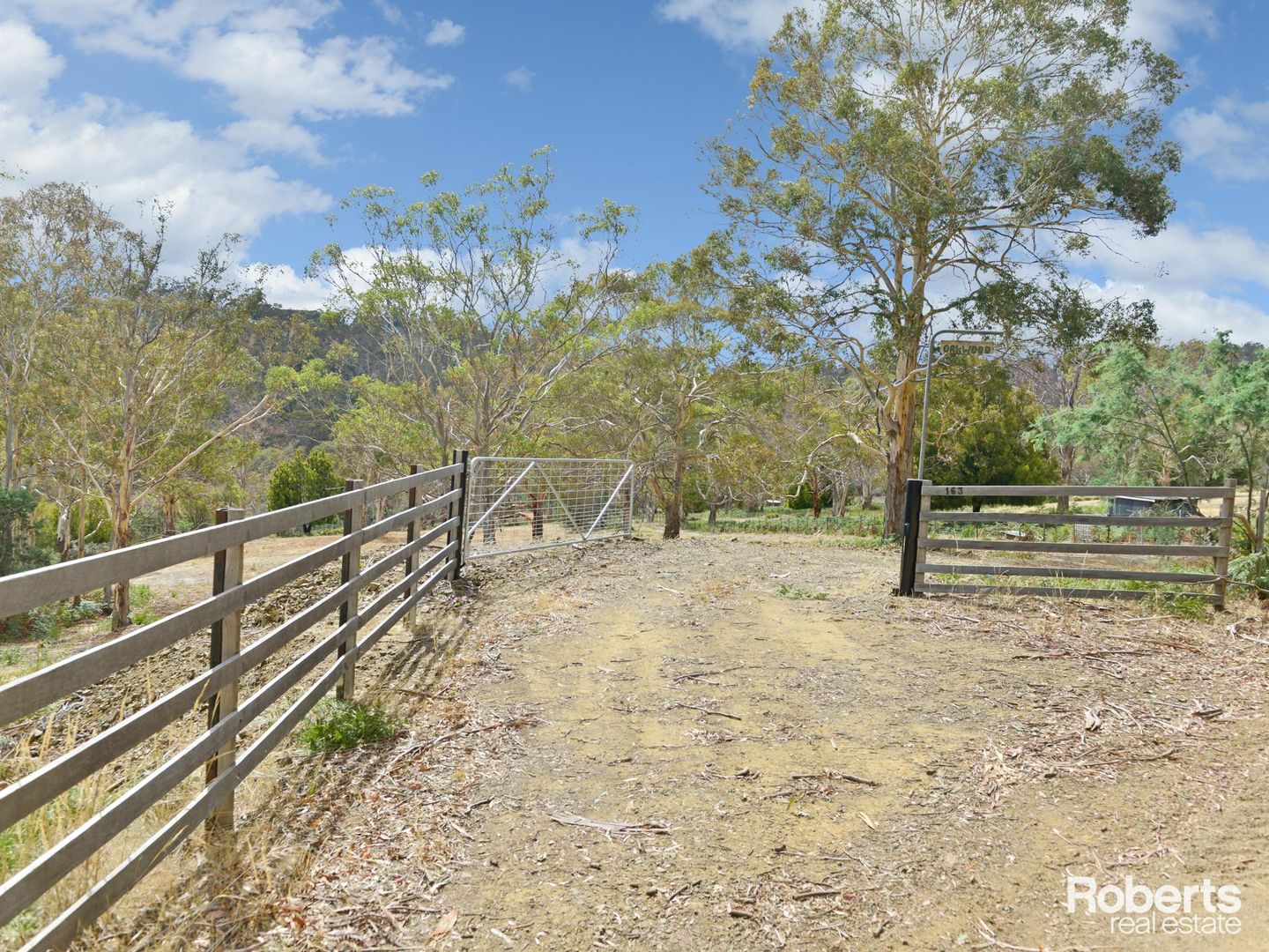 163 Triffetts Road, Glenfern TAS 7140, Image 1