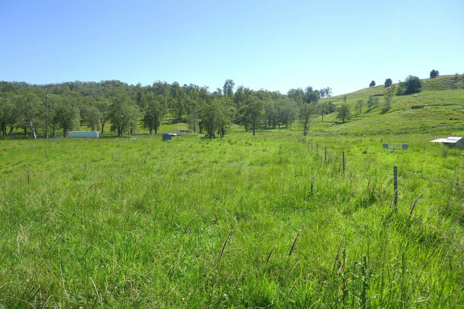 Image 31