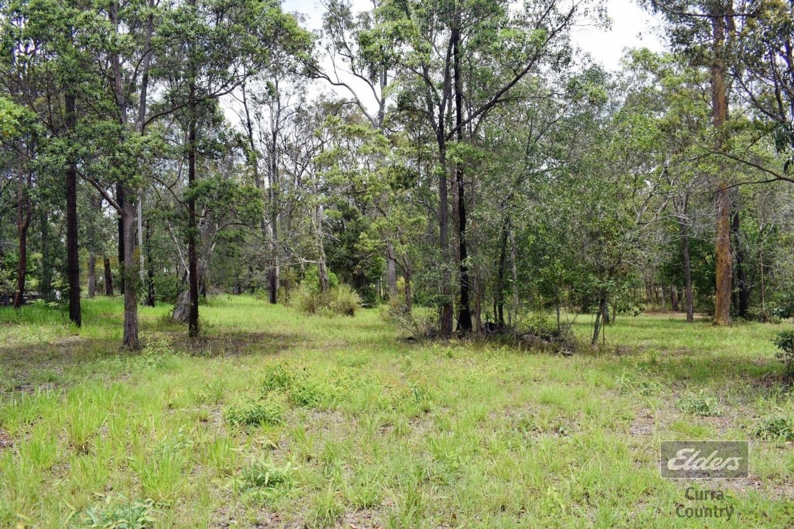 Lot 19 Martyn Road, Bauple QLD 4650, Image 1