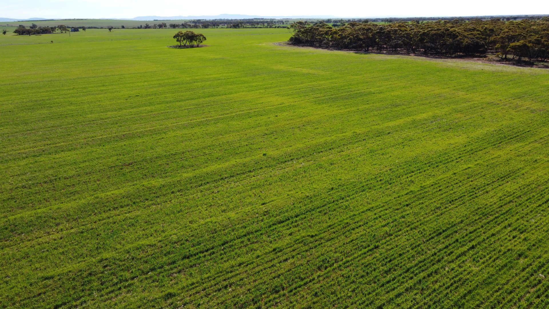 'Twigden' McCallum Road, Booleroo Centre SA 5482, Image 1